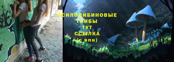 амфетамин Богородицк