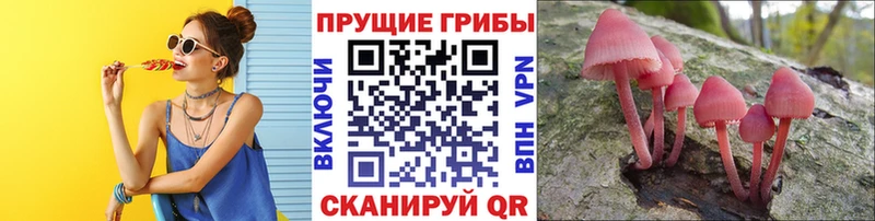 Галлюциногенные грибы GOLDEN TEACHER Топки