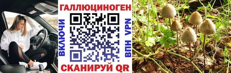 Купить закладки  Топки  Псилоцибиновые грибы мицелий 